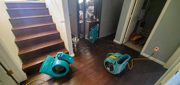 Best Water damage cleanup near me  in Center Moriches, NY