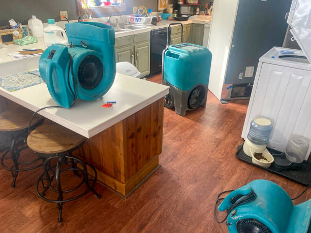 Best 24-hour water damage restoration  in Center Moriches, NY