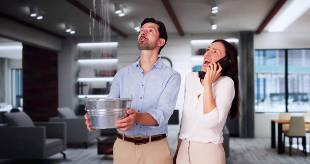 Best Flooded house restoration  in Center Moriches, NY